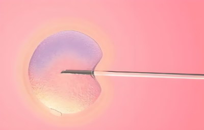 试管期间吃什么？嘉运国际推荐营养食谱。