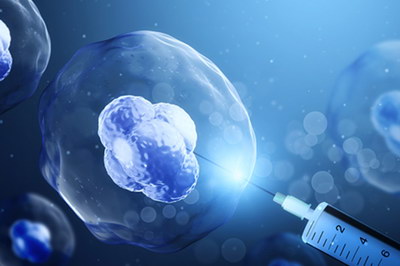 为了宝宝，这一切都值得——我的海外试管全记录