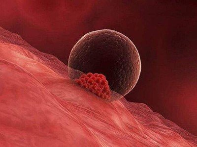 嘉运国际：第三代试管婴儿的流程与注意事项。